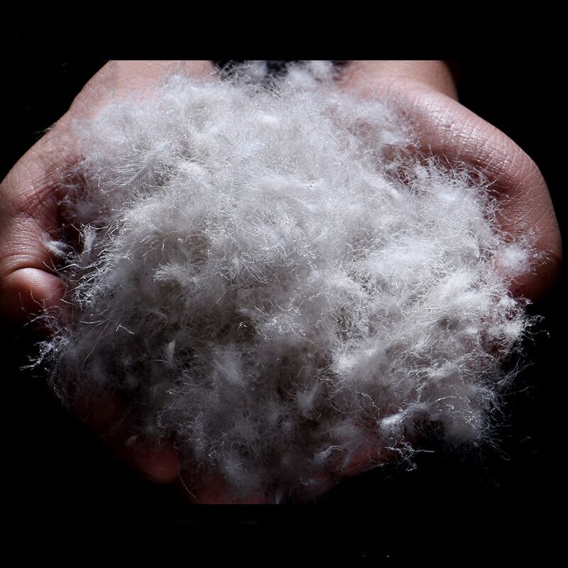 GOOSE DOWN 850FP RDS (7)