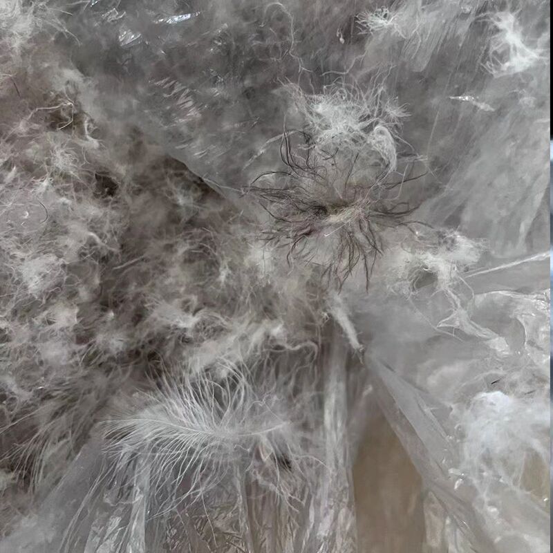 GOOSE DOWN 850FP RDS (9)